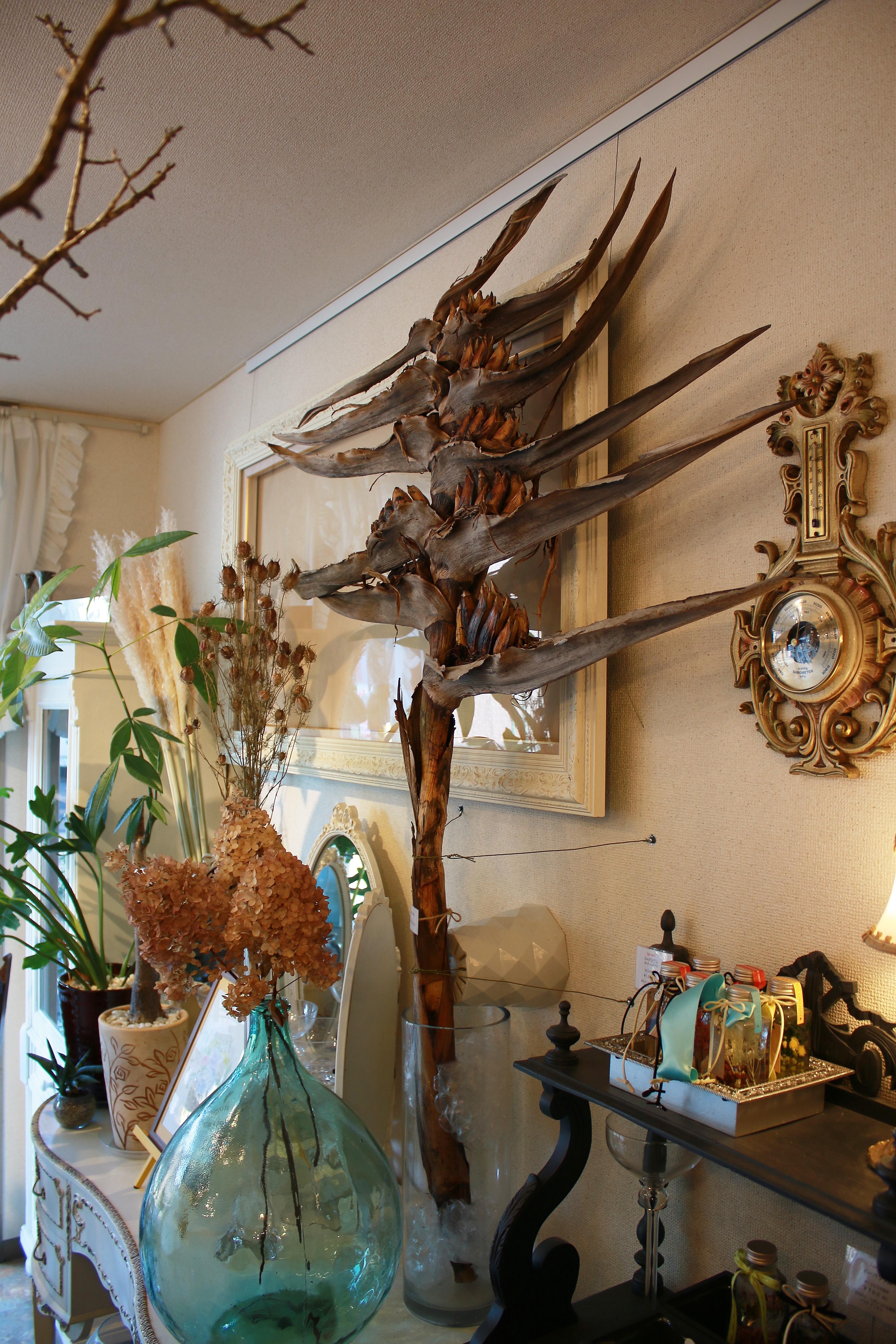 沖縄からやって来た 旅人の木: flower＆art bellerose