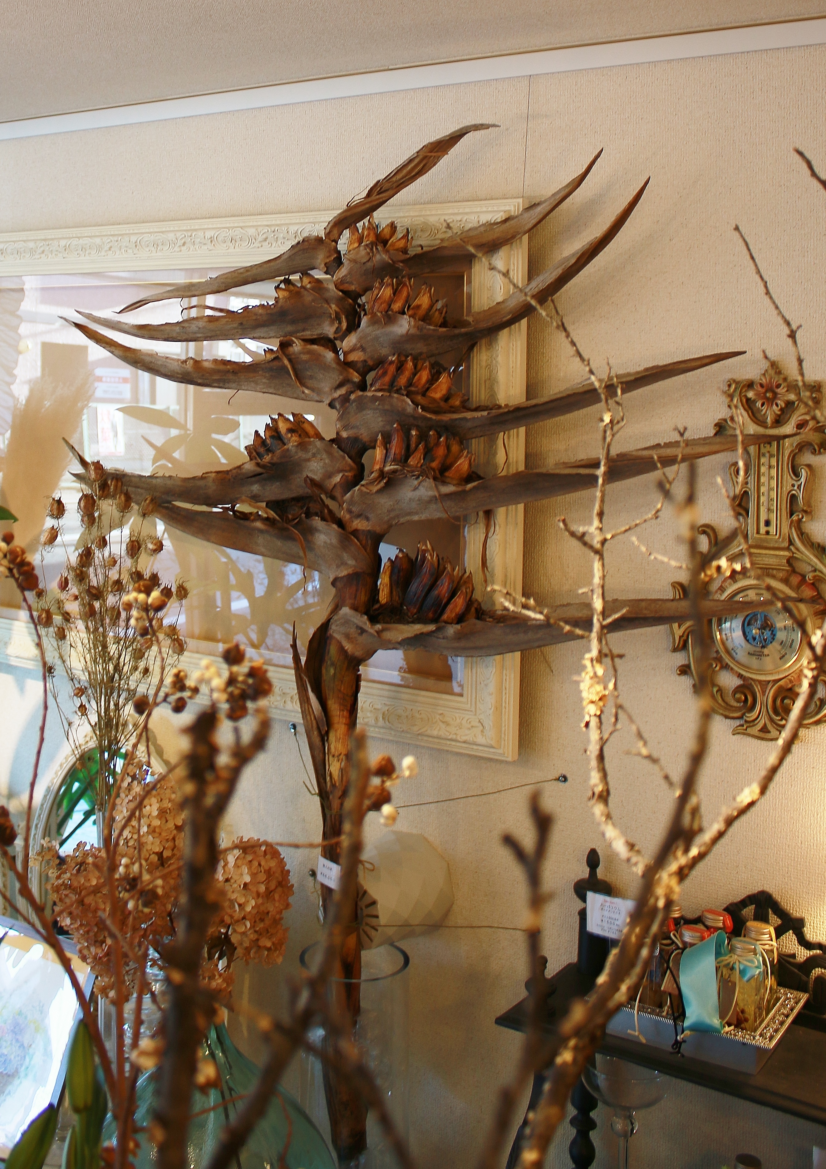 ①旅人の木開花前　９節 ①旅人の木開花前 9節