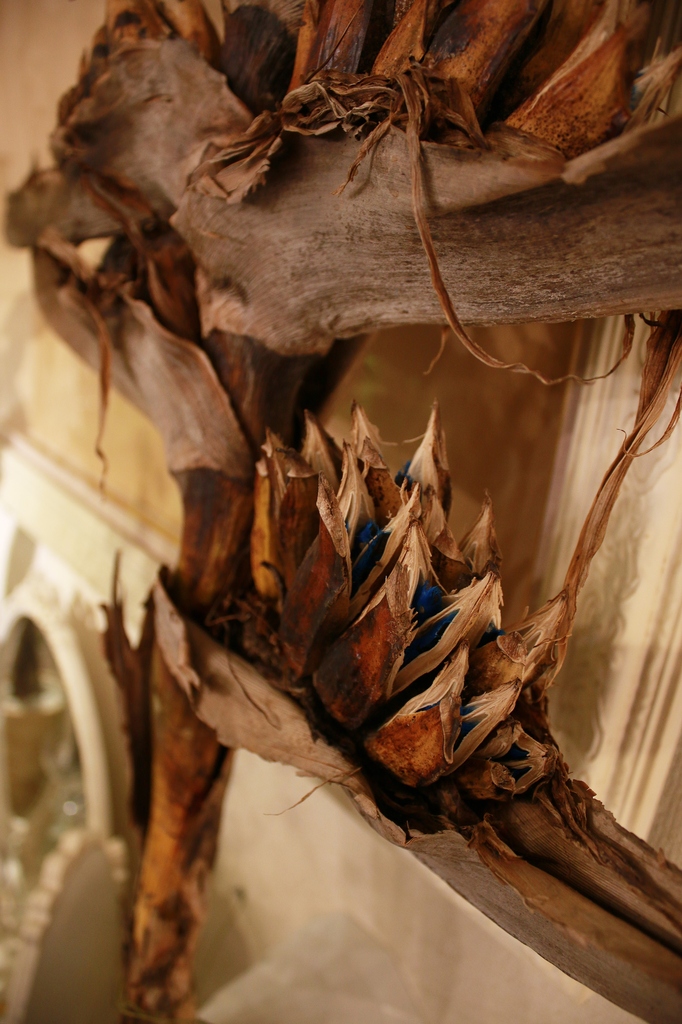 【てるてる坊主 様】専用ページ 旅人の木 てるてる坊主 様】専用ページ 旅人の木2個セット